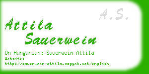 attila sauerwein business card